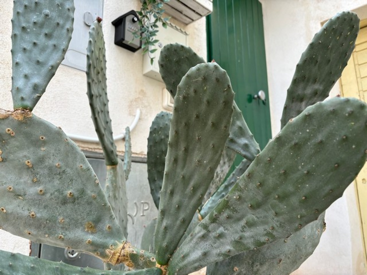 casa Ostuni Salento Puglia centro storico