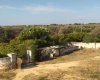 terreno Masseria vendita Puglia 