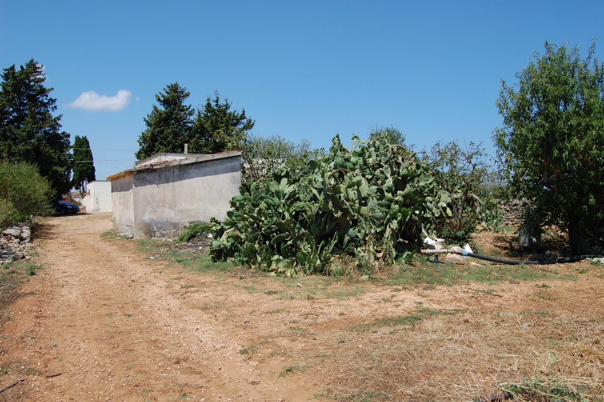 Puglia mare 